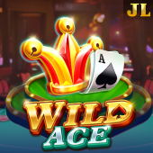 Wild Ace aviation slot